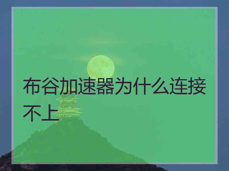 布谷加速器为什么连接不上