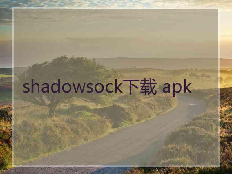 shadowsock下载 apk