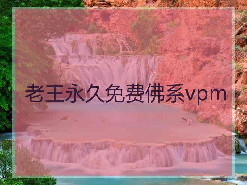 老王永久免费佛系vpm