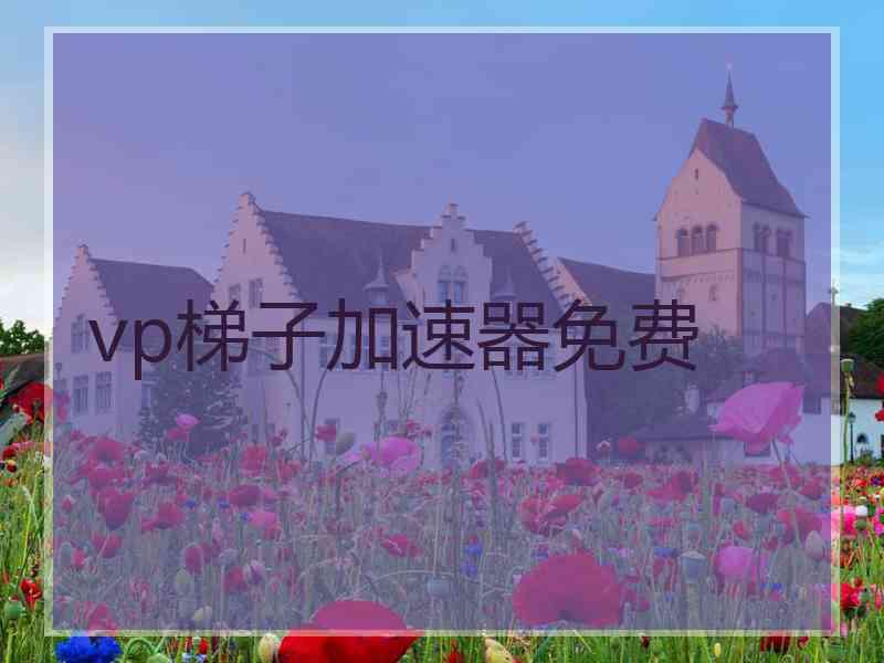 vp梯子加速器免费