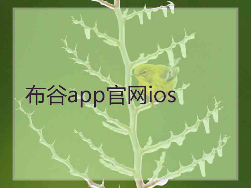 布谷app官网ios