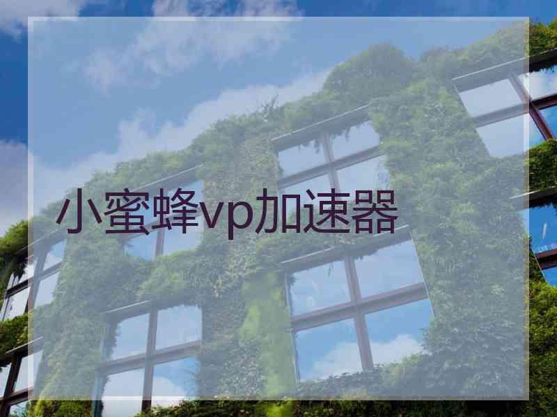 小蜜蜂vp加速器