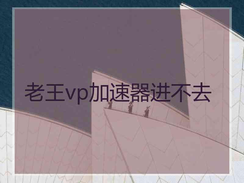 老王vp加速器进不去