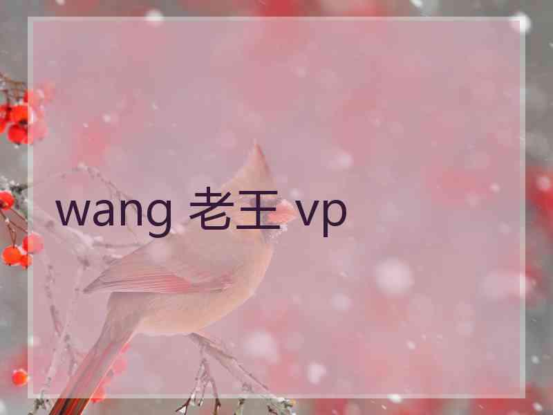 wang 老王 vp