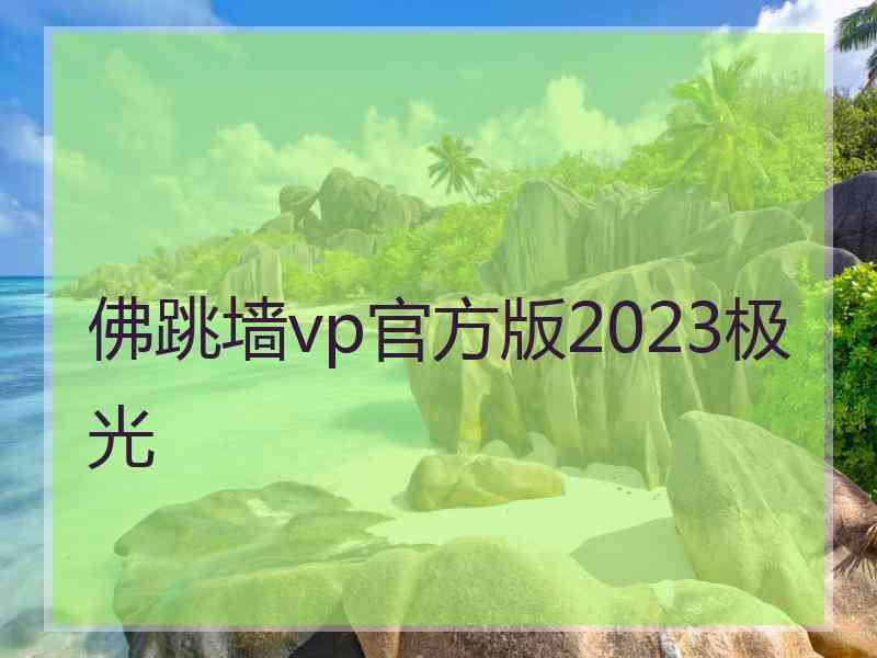 佛跳墙vp官方版2023极光