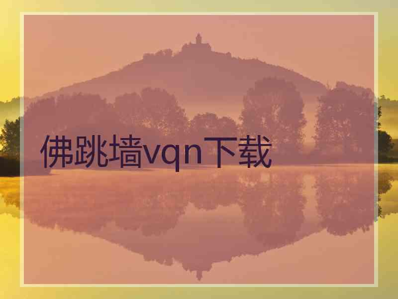 佛跳墙vqn下载