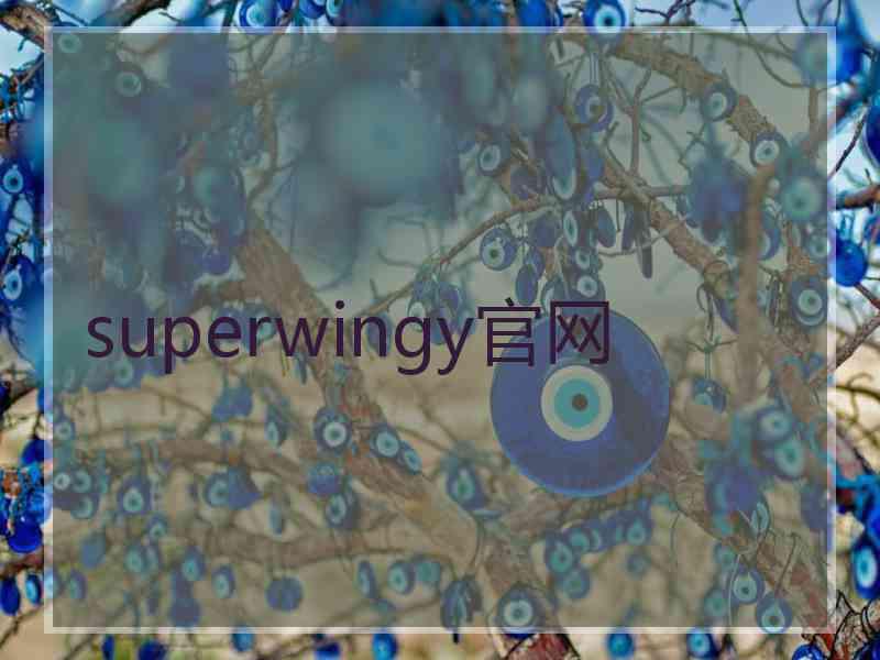 superwingy官网