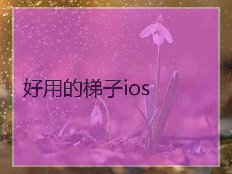 好用的梯子ios