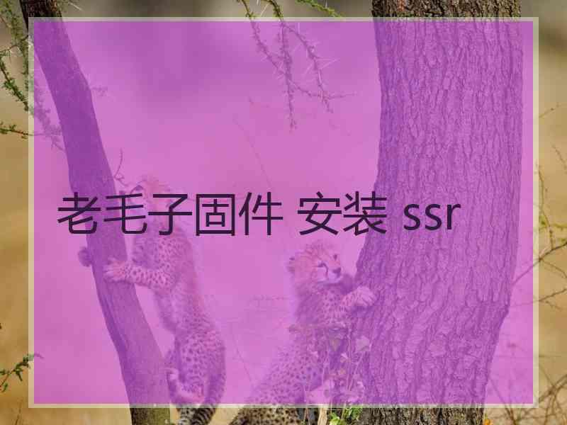 老毛子固件 安装 ssr