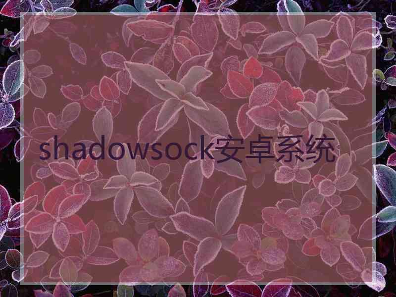 shadowsock安卓系统