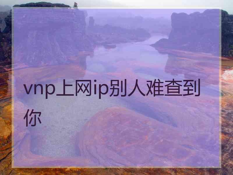 vnp上网ip别人难查到你