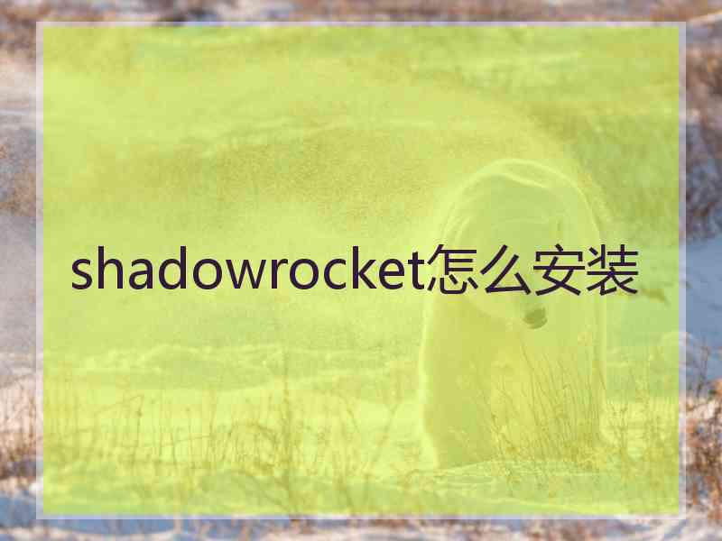 shadowrocket怎么安装