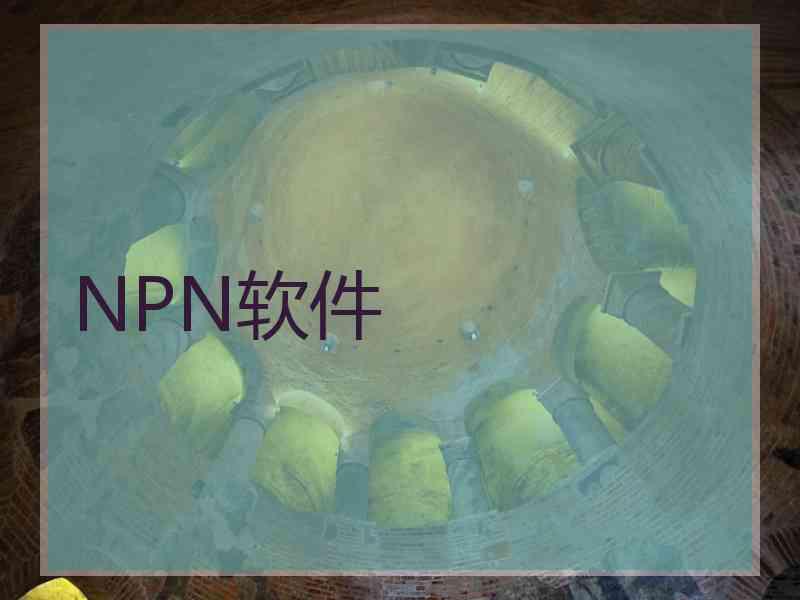 NPN软件