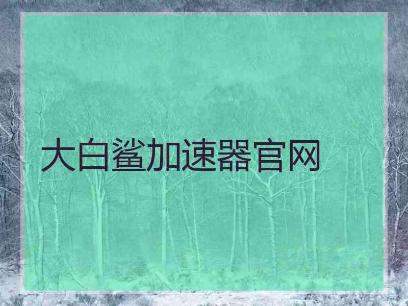 大白鲨加速器官网