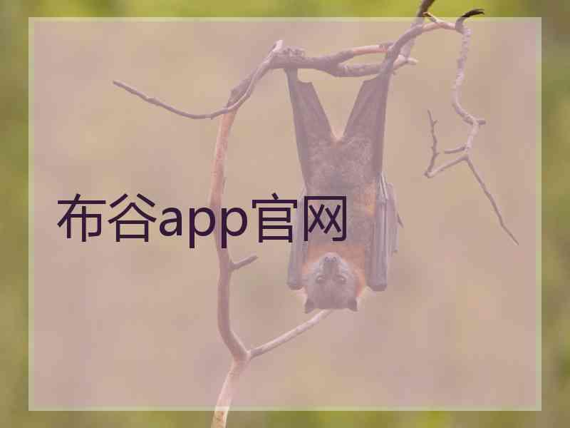 布谷app官网