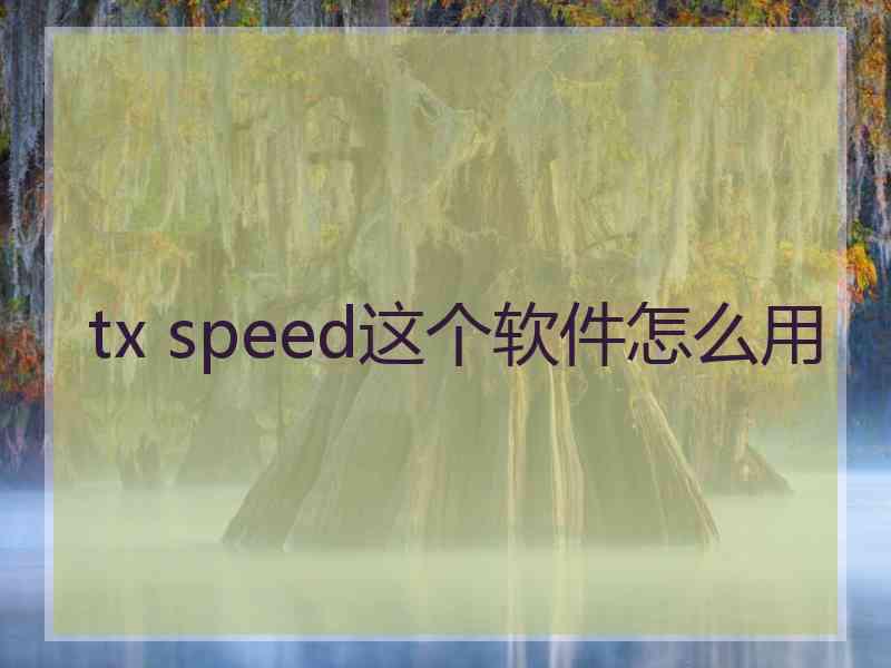 tx speed这个软件怎么用