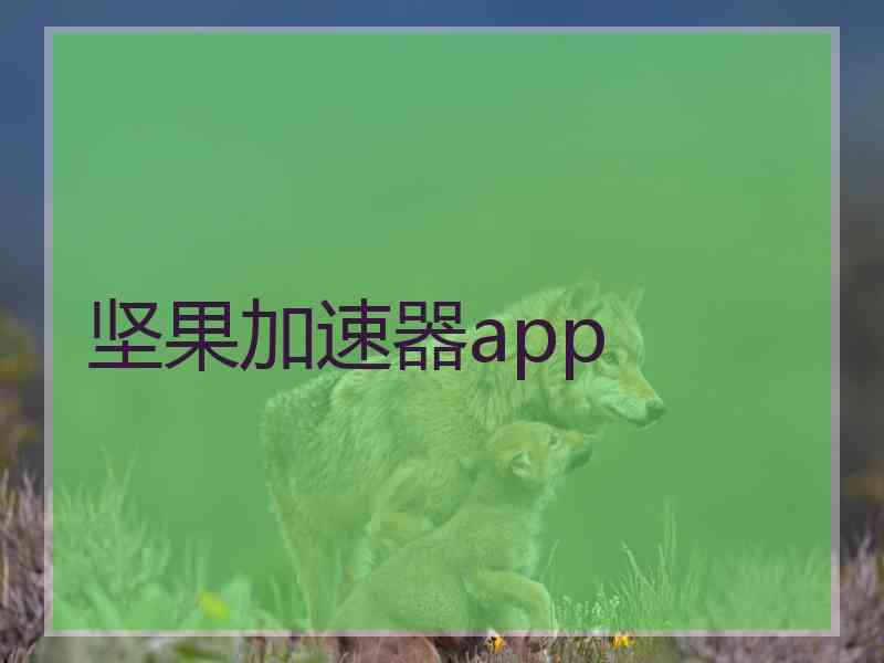 坚果加速器app