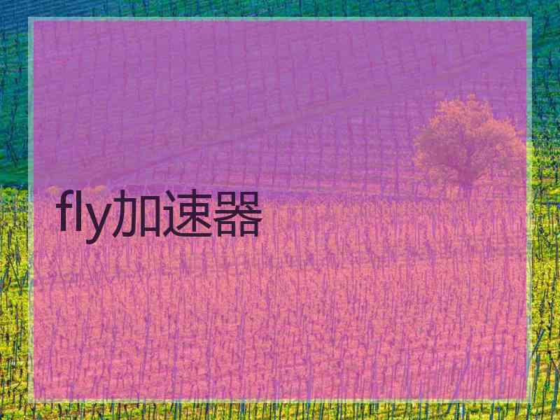 fly加速器