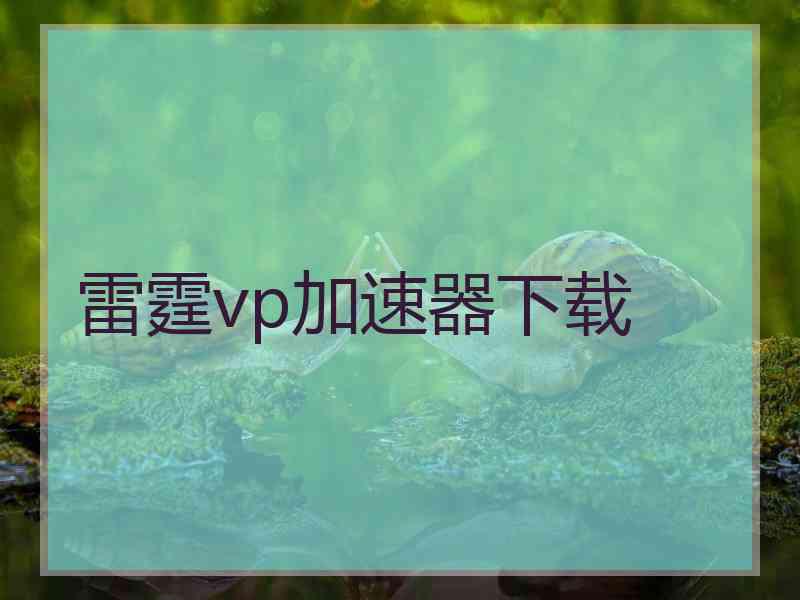 雷霆vp加速器下载