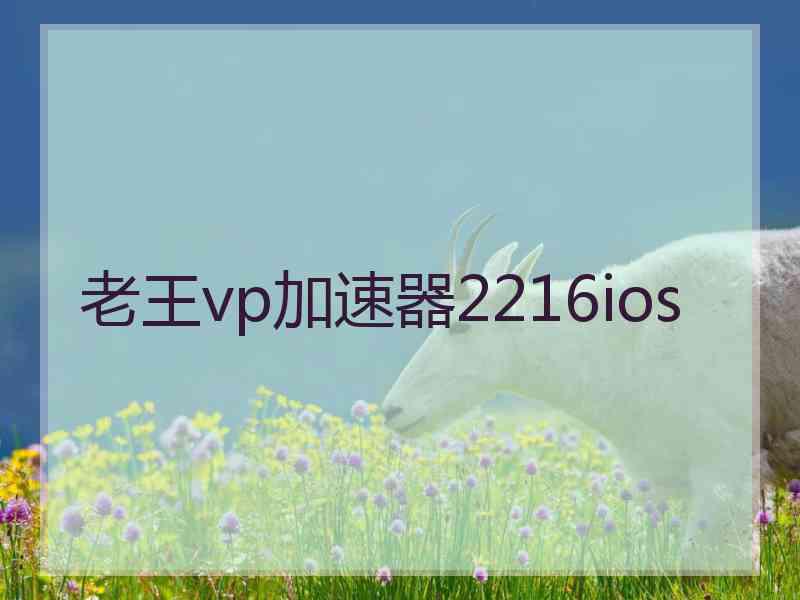 老王vp加速器2216ios