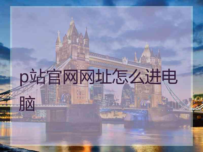 p站官网网址怎么进电脑