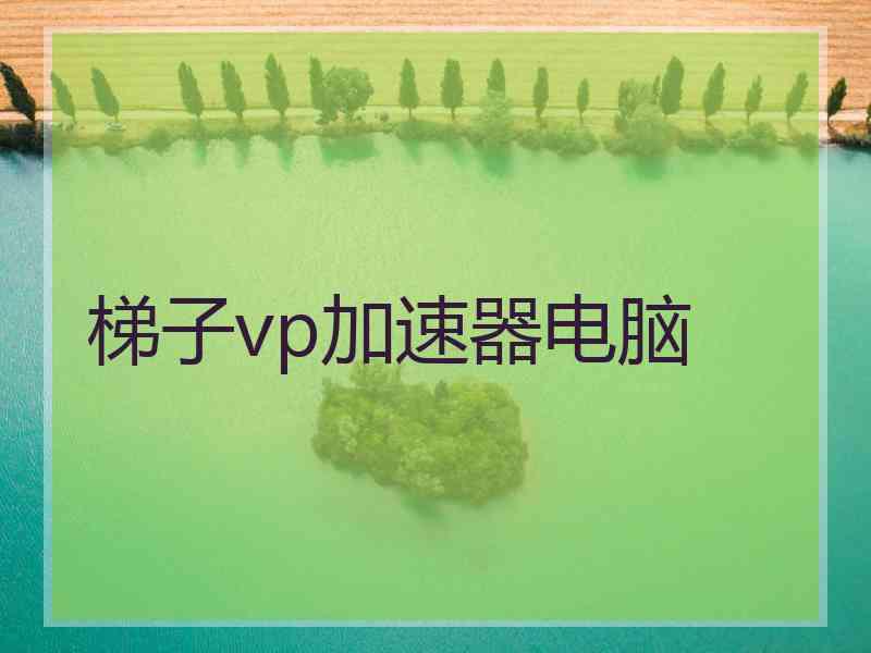 梯子vp加速器电脑