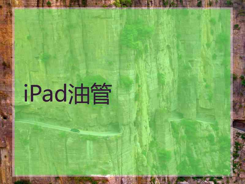 iPad油管