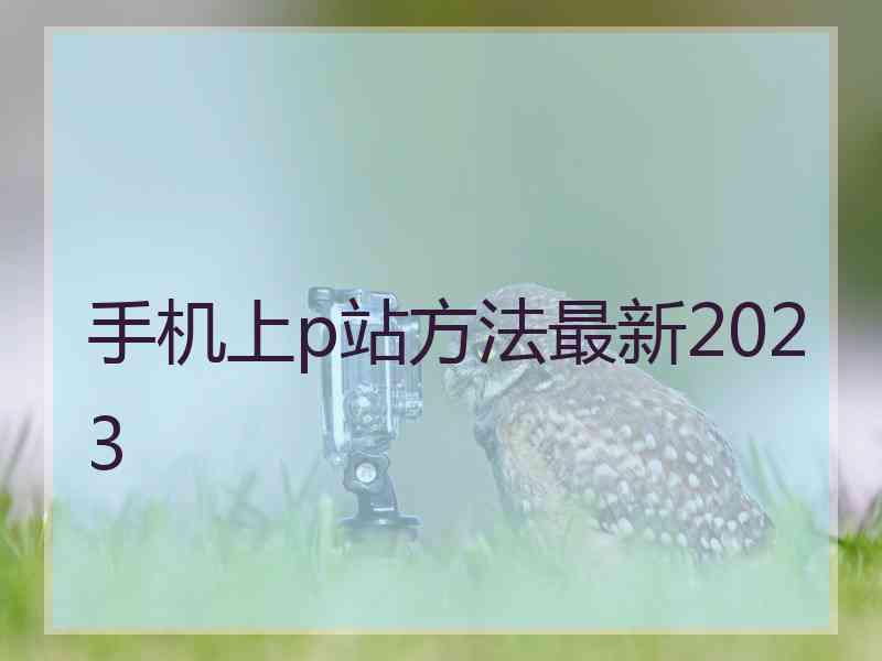 手机上p站方法最新2023