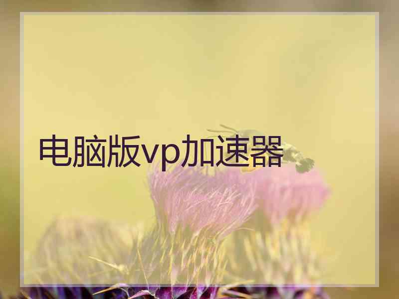 电脑版vp加速器