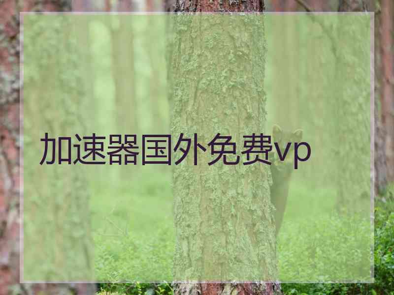 加速器国外免费vp