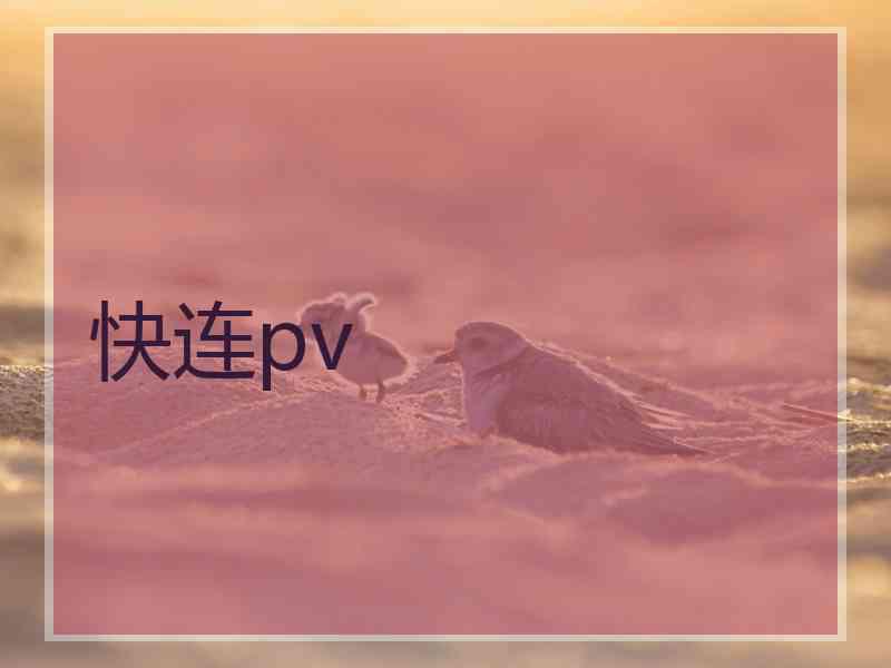 快连pv