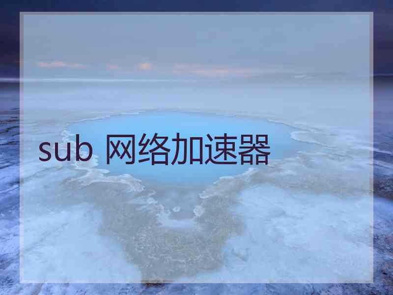 sub 网络加速器