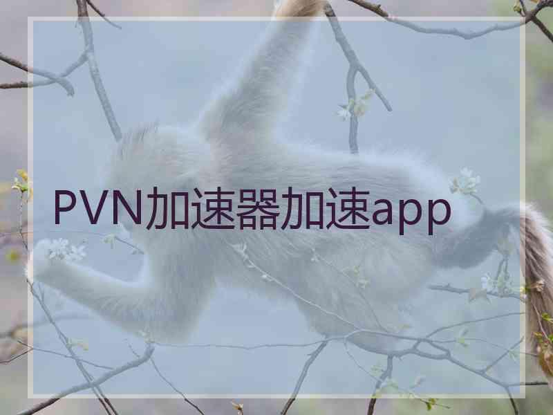 PVN加速器加速app