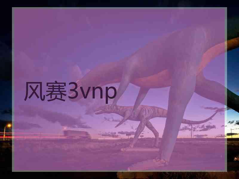 风赛3vnp