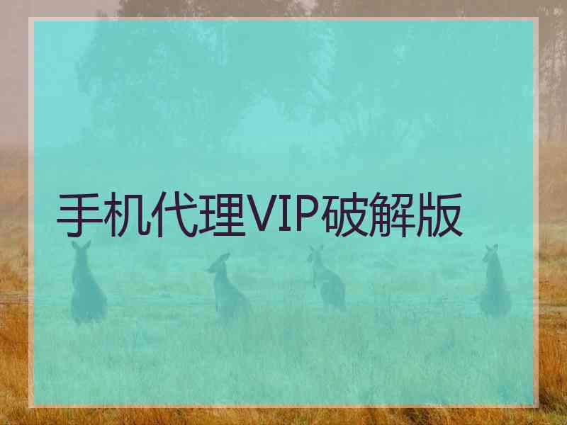 手机代理VIP破解版