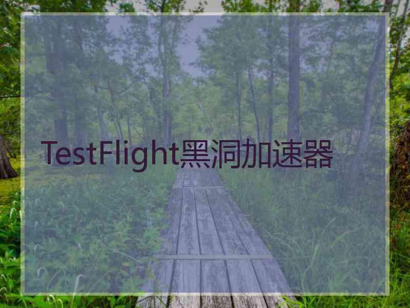 TestFlight黑洞加速器