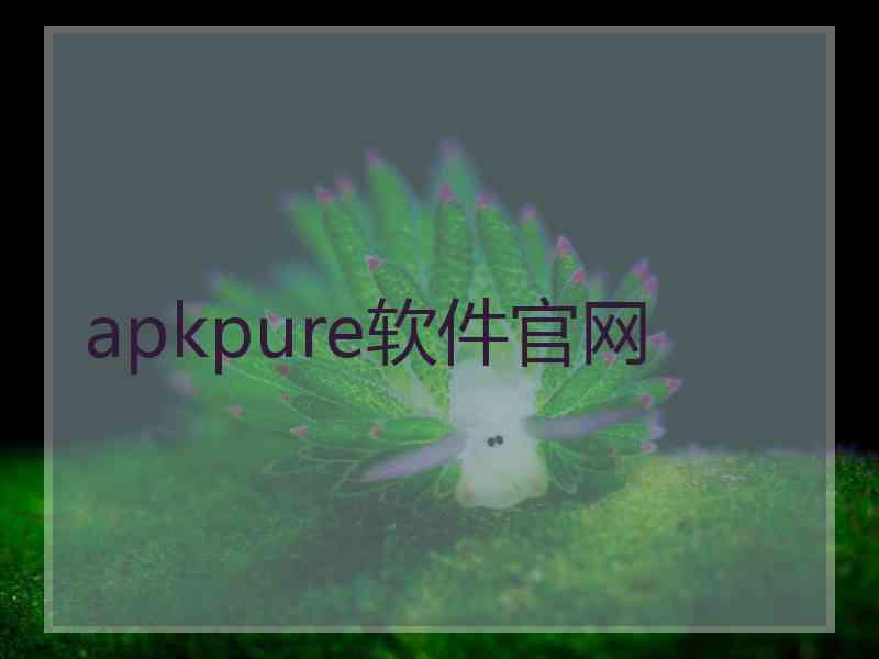 apkpure软件官网