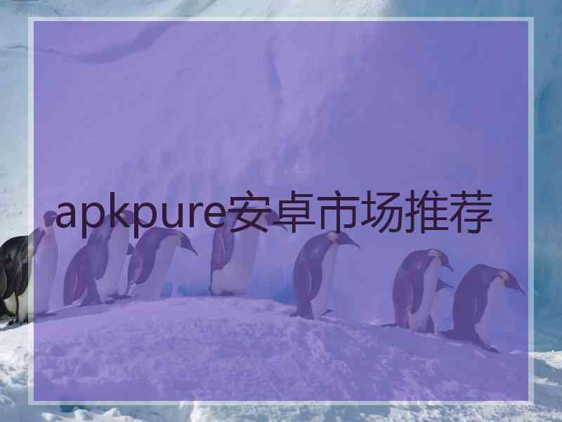 apkpure安卓市场推荐