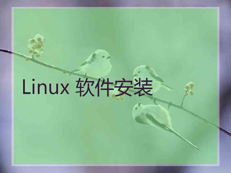 Linux 软件安装