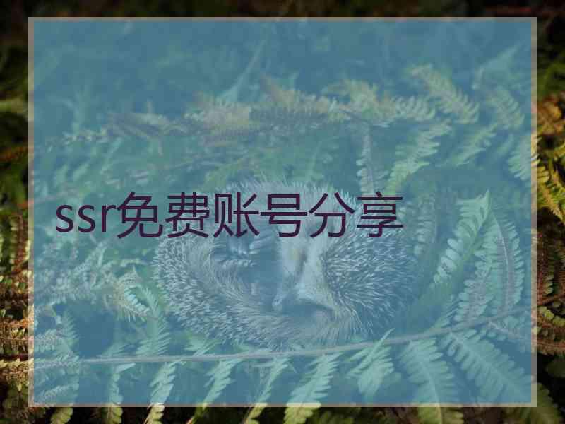 ssr免费账号分享