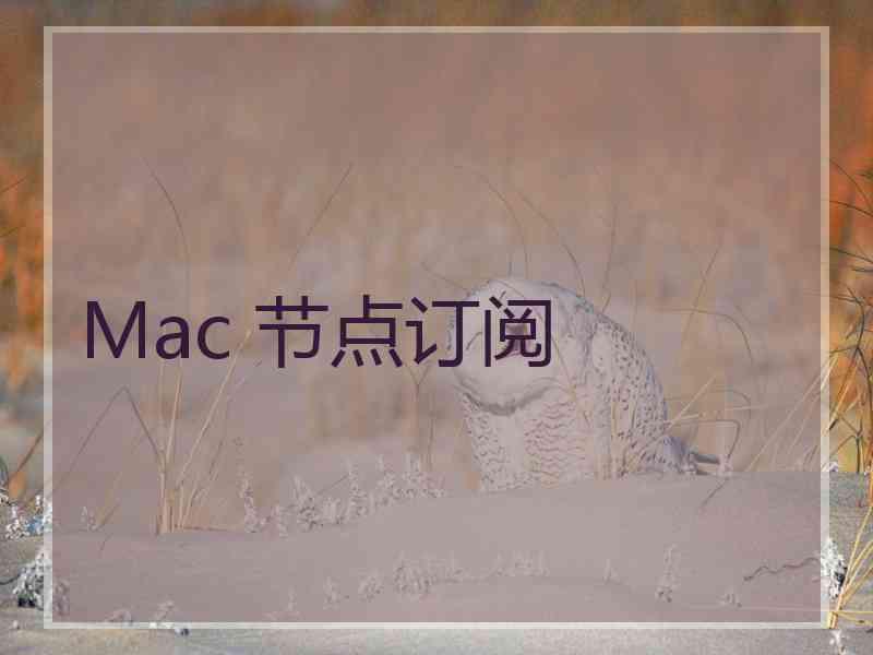 Mac 节点订阅