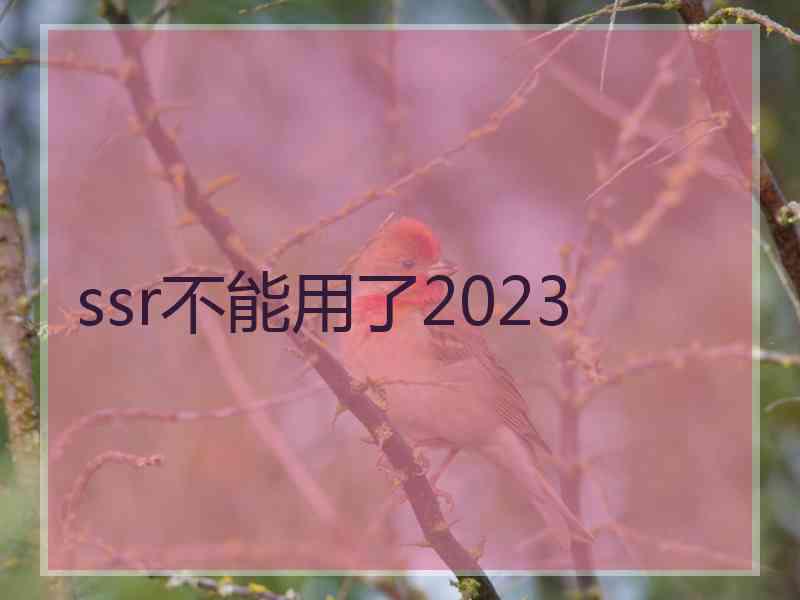 ssr不能用了2023