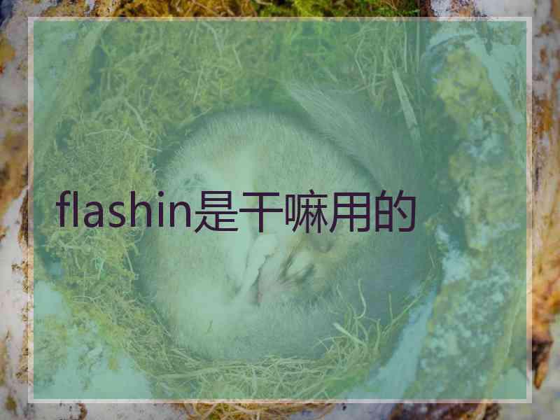 flashin是干嘛用的