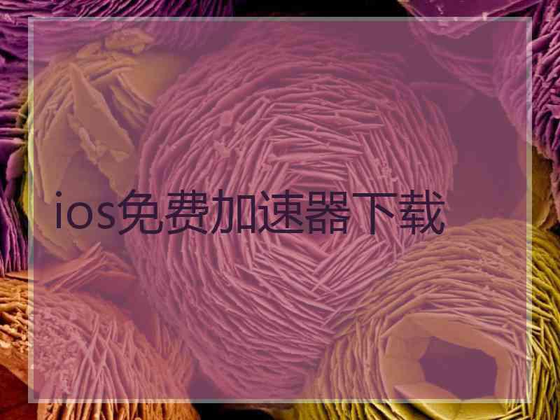 ios免费加速器下载