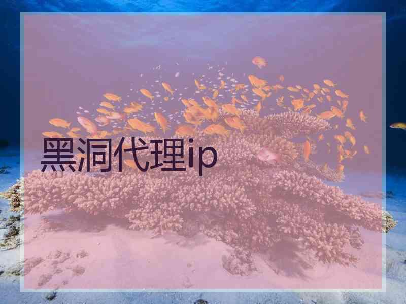 黑洞代理ip