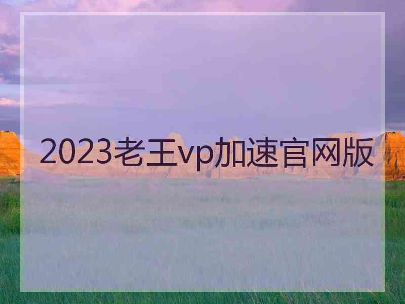 2023老王vp加速官网版