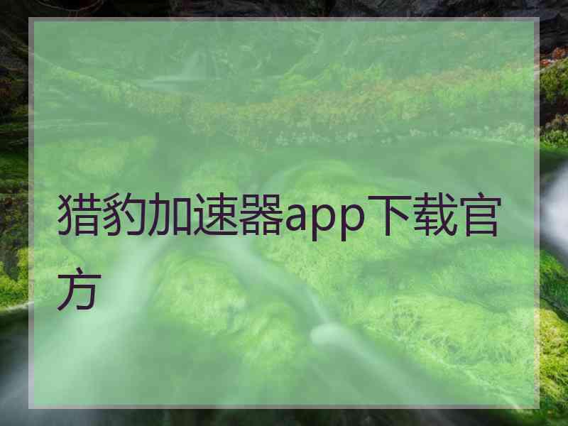 猎豹加速器app下载官方