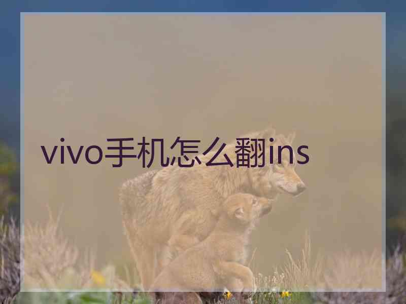 vivo手机怎么翻ins