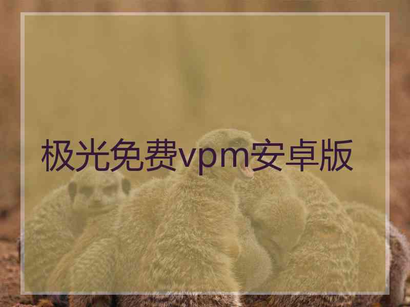 极光免费vpm安卓版