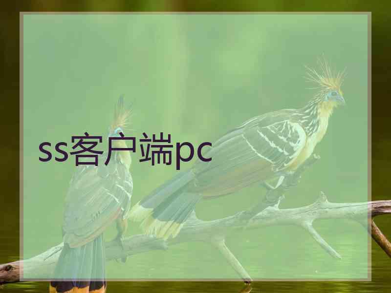 ss客户端pc